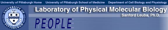 University of Pittsburgh Laboratory of Physical Molecular Biology