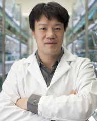 Michael Tsang, Ph.D.