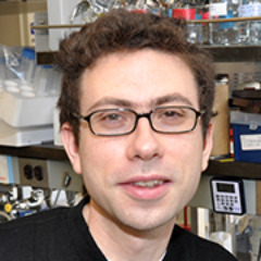 Zachary Freyberg, MD, PhD